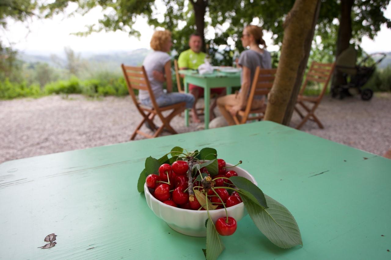 Farmstay Kmetija Stekar Kojsko Eksteriør bilde